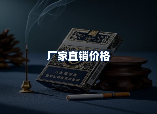 专业团队办公环境